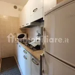 Rent 3 bedroom apartment of 60 m² in Trento