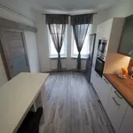 Rent 1 bedroom apartment of 31 m² in Loučná nad Nisou