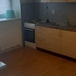 Rent 1 bedroom apartment of 43 m² in Brno