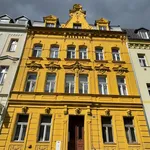 Rent 4 bedroom apartment in Karlovy Vary