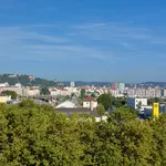 Rent 2 bedroom apartment of 48 m² in Graz