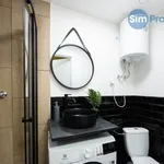 Rent 1 bedroom apartment in Brno