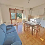 Rent 1 bedroom apartment of 40 m² in Casatenovo