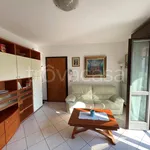 Rent 2 bedroom apartment of 55 m² in Milano