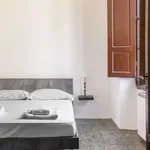 Rent 1 bedroom apartment of 50 m² in florence