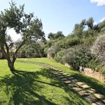 Rent 3 bedroom house of 55 m² in Montalto di Castro