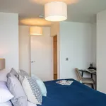 Rent 1 bedroom apartment in Southampton