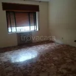 Rent 3 bedroom apartment of 110 m² in San Marco Argentano