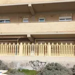 Rent 3 bedroom apartment of 80 m² in Pomezia