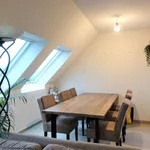 Rent 2 bedroom apartment in Snellegem