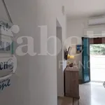 Rent 3 bedroom apartment of 70 m² in Palermo