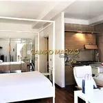 Rent 1 bedroom apartment of 40 m² in Roma