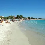 Rent 4 bedroom apartment of 90 m² in Olbia