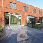 Rent 6 bedroom house of 165 m² in Eindhoven