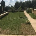 Rent 3 bedroom house of 72 m² in Velletri