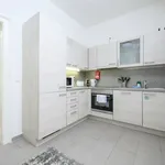 Rent 1 bedroom apartment of 530 m² in Vienna