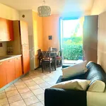 Rent 2 bedroom apartment of 50 m² in Arezzo