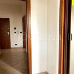 Rent 3 bedroom apartment of 60 m² in Moncalieri