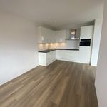 Rent 3 bedroom apartment of 123 m² in Eindhoven