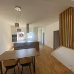 Rent 1 bedroom house of 355 m² in Ostrava