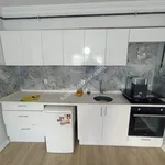 Rent 2 bedroom apartment of 45 m² in İstanbul