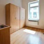 Rent 1 bedroom apartment in Brno