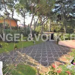 Rent 20 bedroom house of 1 m² in Civitanova Marche