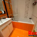 Rent 4 bedroom apartment of 101 m² in Brno