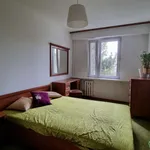 Rent 1 bedroom apartment of 72 m² in Nowy Sącz