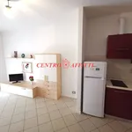 Rent 2 bedroom apartment of 50 m² in Pavia