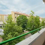 Rent 1 bedroom apartment of 50 m² in Brno