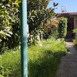 Rent 4 bedroom apartment of 80 m² in Monte Porzio Catone