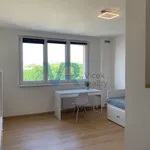 Pronájem bytu 1+kk 30m²