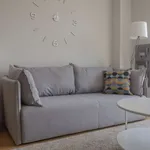 Rent 1 bedroom apartment of 65 m² in madrid