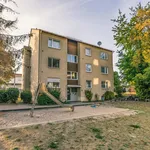 Rent 2 bedroom apartment of 55 m² in Grünstadt