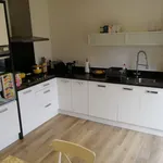 Rent 3 bedroom house in East Of England