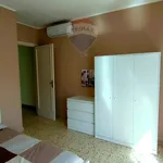 Rent 2 bedroom apartment of 80 m² in 2
 
 Paceco