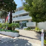 Rent 1 bedroom apartment of 78 m² in Santa Monica