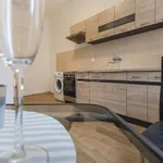 Rent 1 bedroom apartment of 41 m² in Liberec