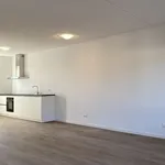 Rent 3 bedroom house of 120 m² in Veldhoven