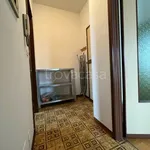 Rent 2 bedroom apartment of 40 m² in Biella