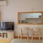 Estudio de 45 m² en madrid