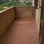 Rent 5 bedroom apartment of 87 m² in Siena