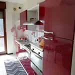 Rent 2 bedroom apartment of 50 m² in Caselle Torinese