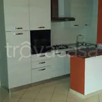 Rent 2 bedroom apartment of 50 m² in Frosinone