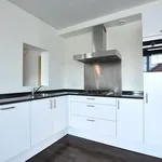 Rent 2 bedroom apartment of 127 m² in Eindhoven