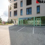 Rent 2 bedroom apartment of 37 m² in Brno