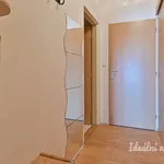 Rent 2 bedroom apartment of 34 m² in Brno