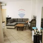 Rent 3 bedroom apartment of 80 m² in Bologna