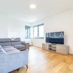 Rent 1 bedroom apartment in City of Zagreb